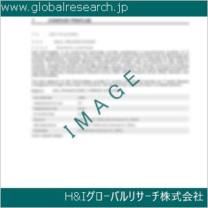 グローバルリサーチ調査資料のイメージ